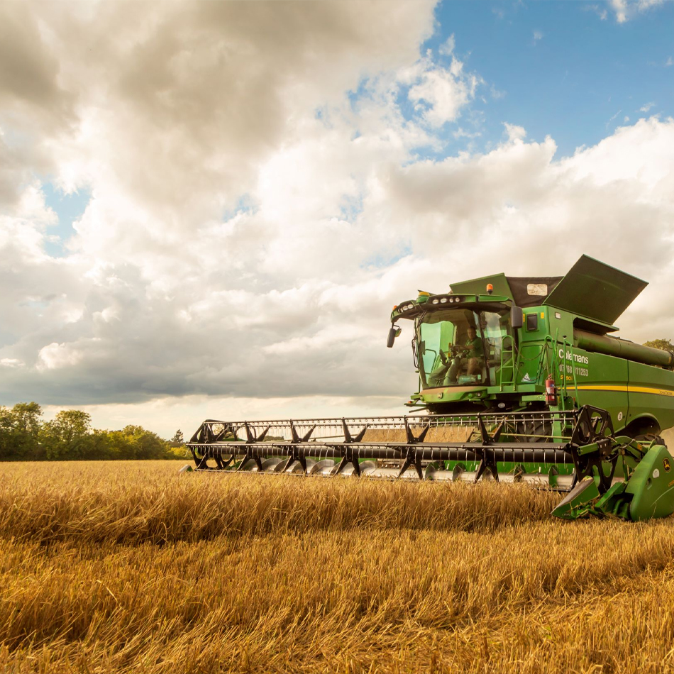 Asigurare culturi agricole